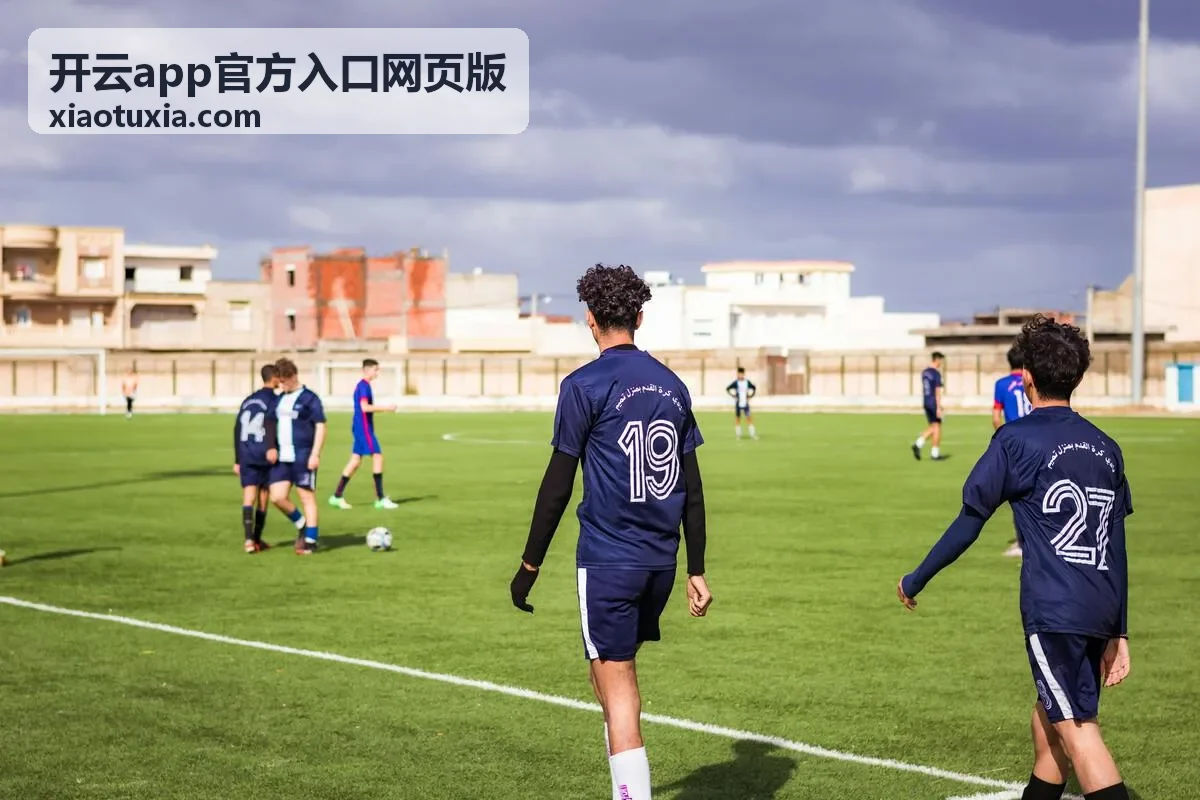 开云app官方入口网页版下载与安装界面展示