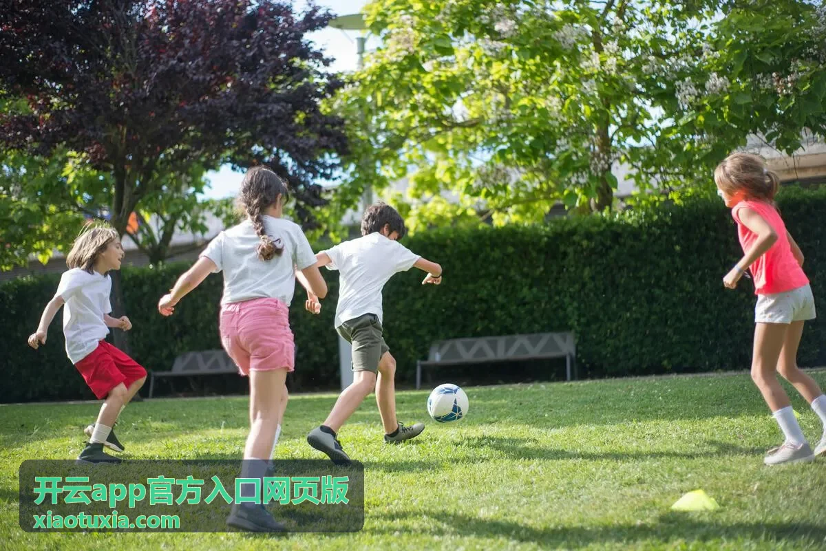 开云app官方入口网页版界面导航分区示意图